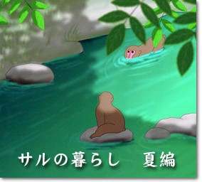 夏の暮らし