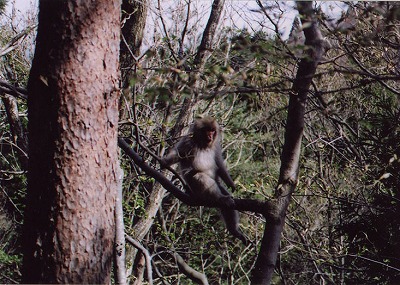 photo by Taiki Shimizu